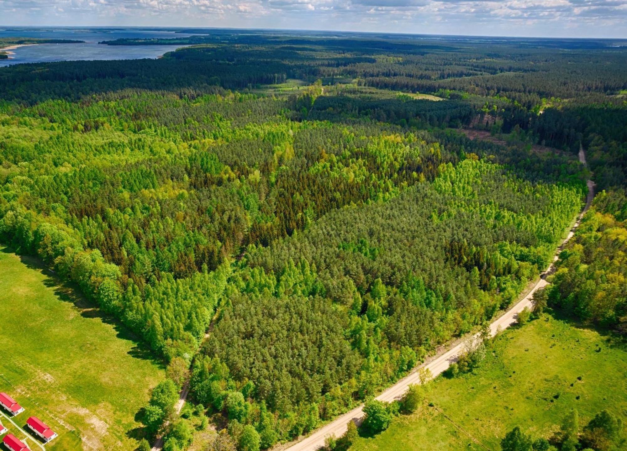 Osada Wilaneska Domki Mikolajki Mazury Exteriér fotografie